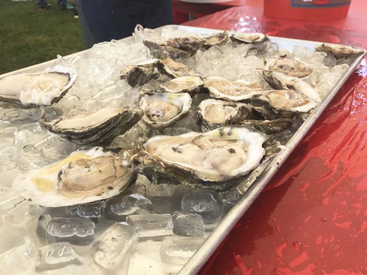 Oysters on the half shell served in Fort Pierce, Florida